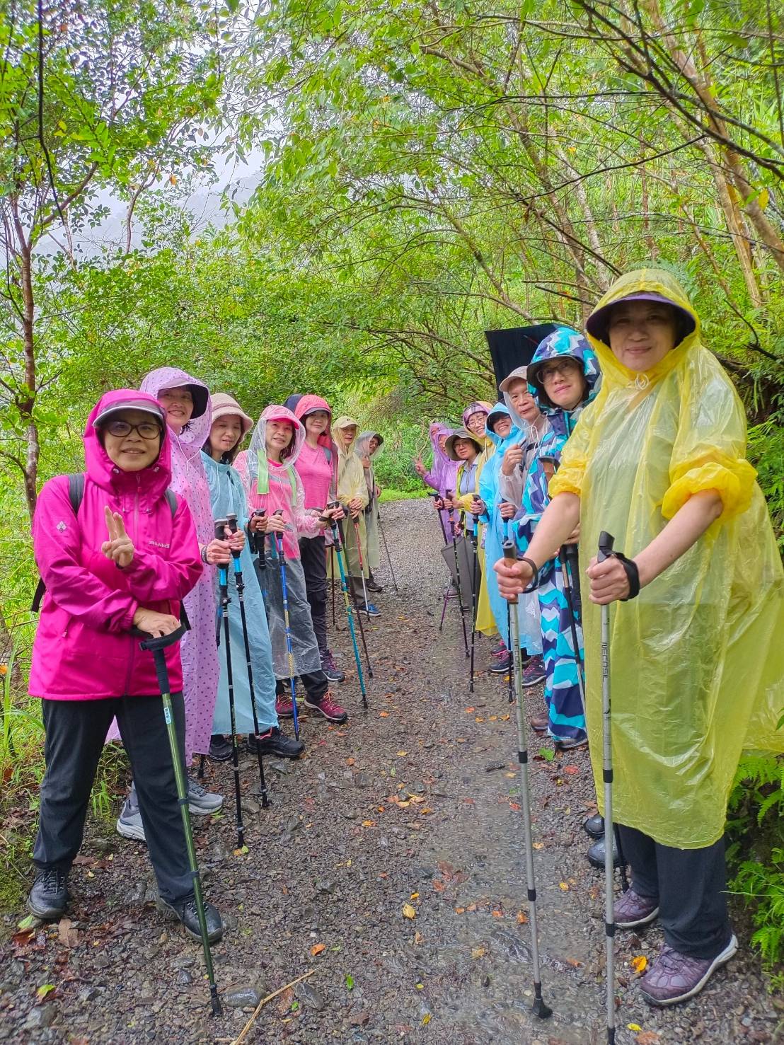 猿行慢旅杖行千里