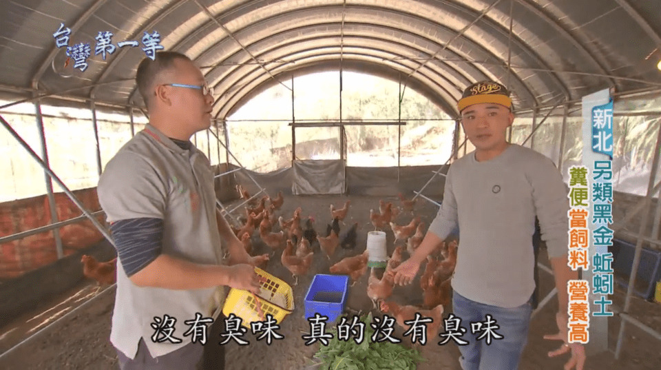 現代生活的健康生活魔法課