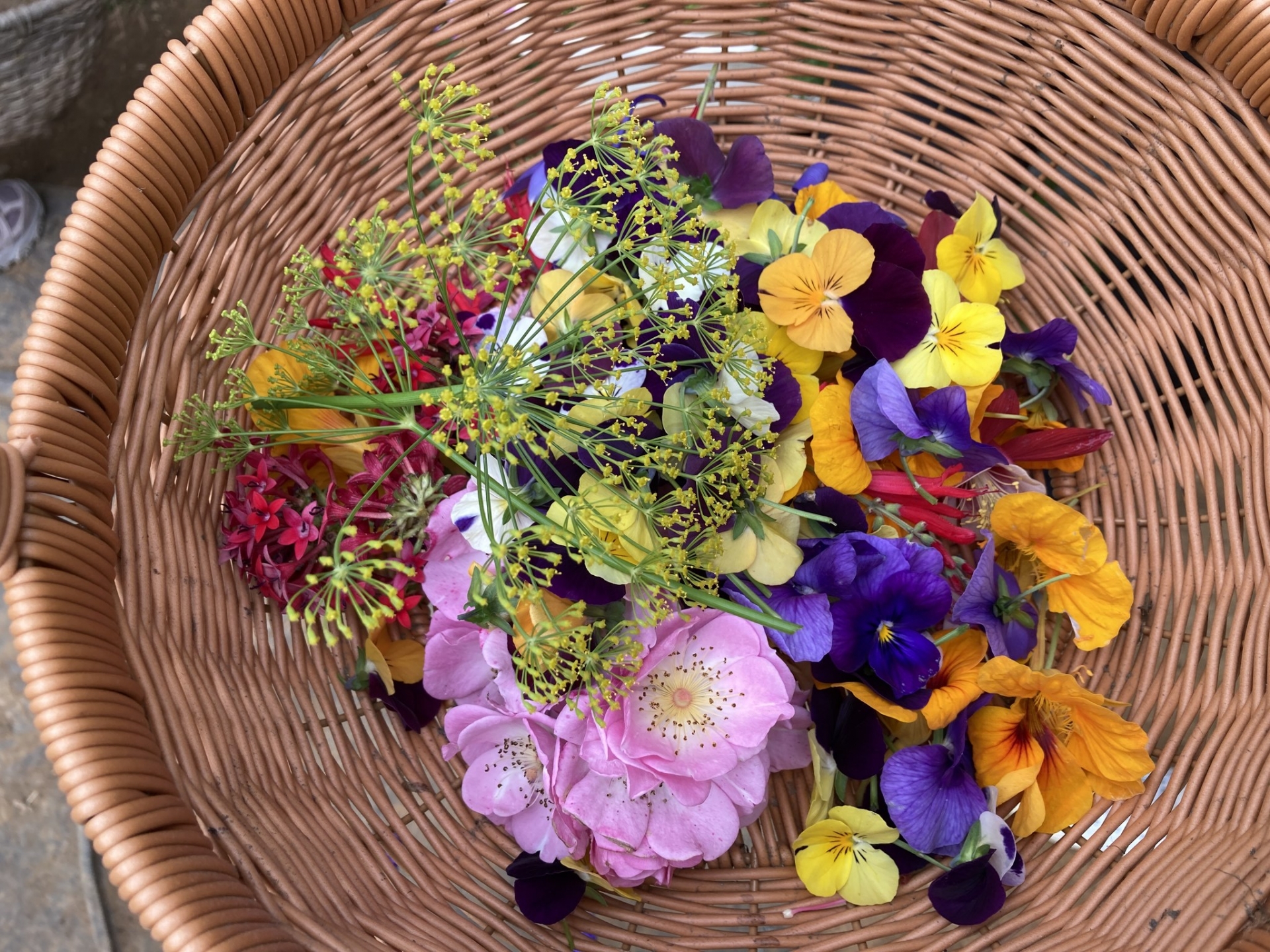 ㊣居家香草生活