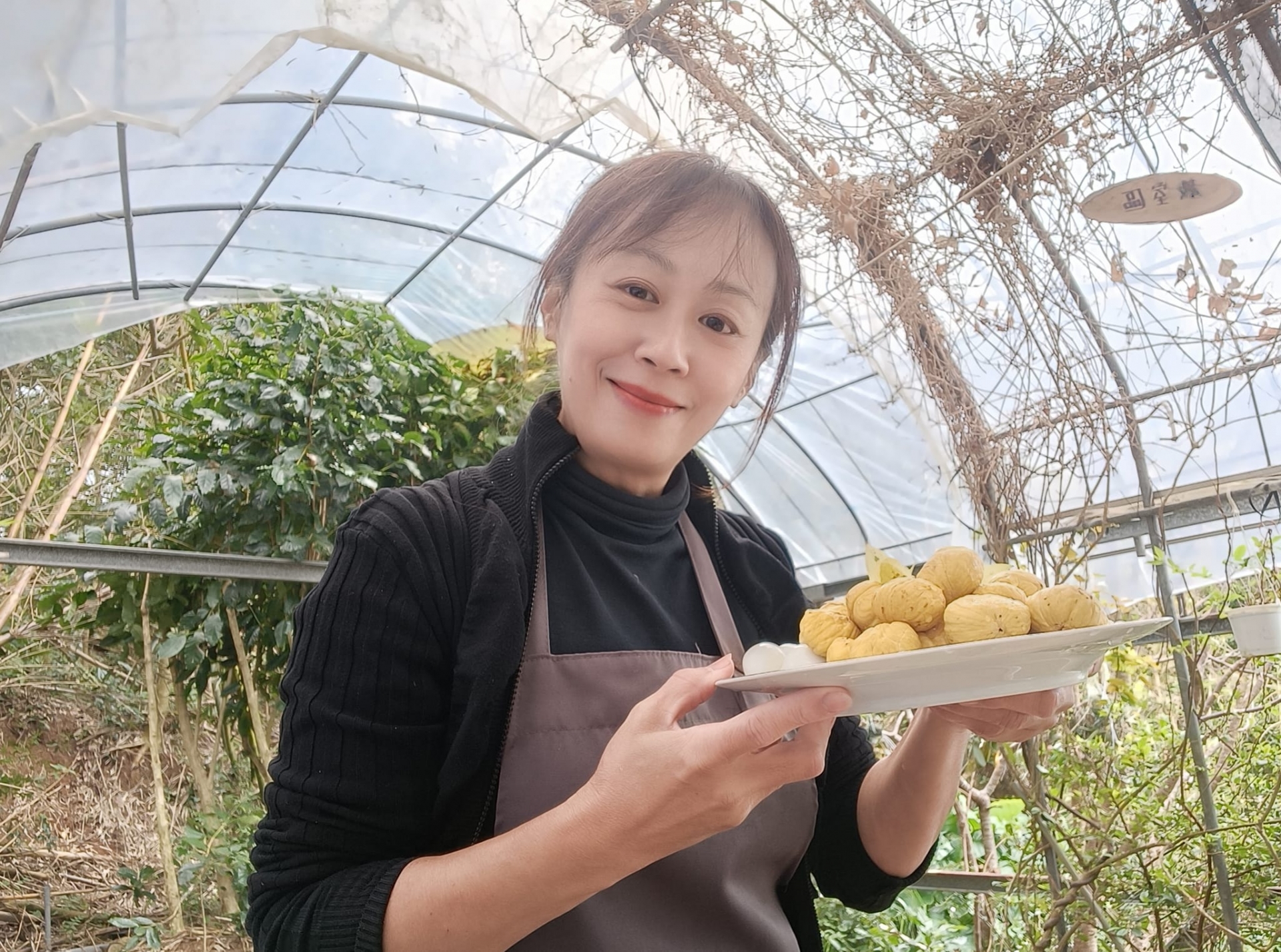 香草生活家-居家香草生活運用