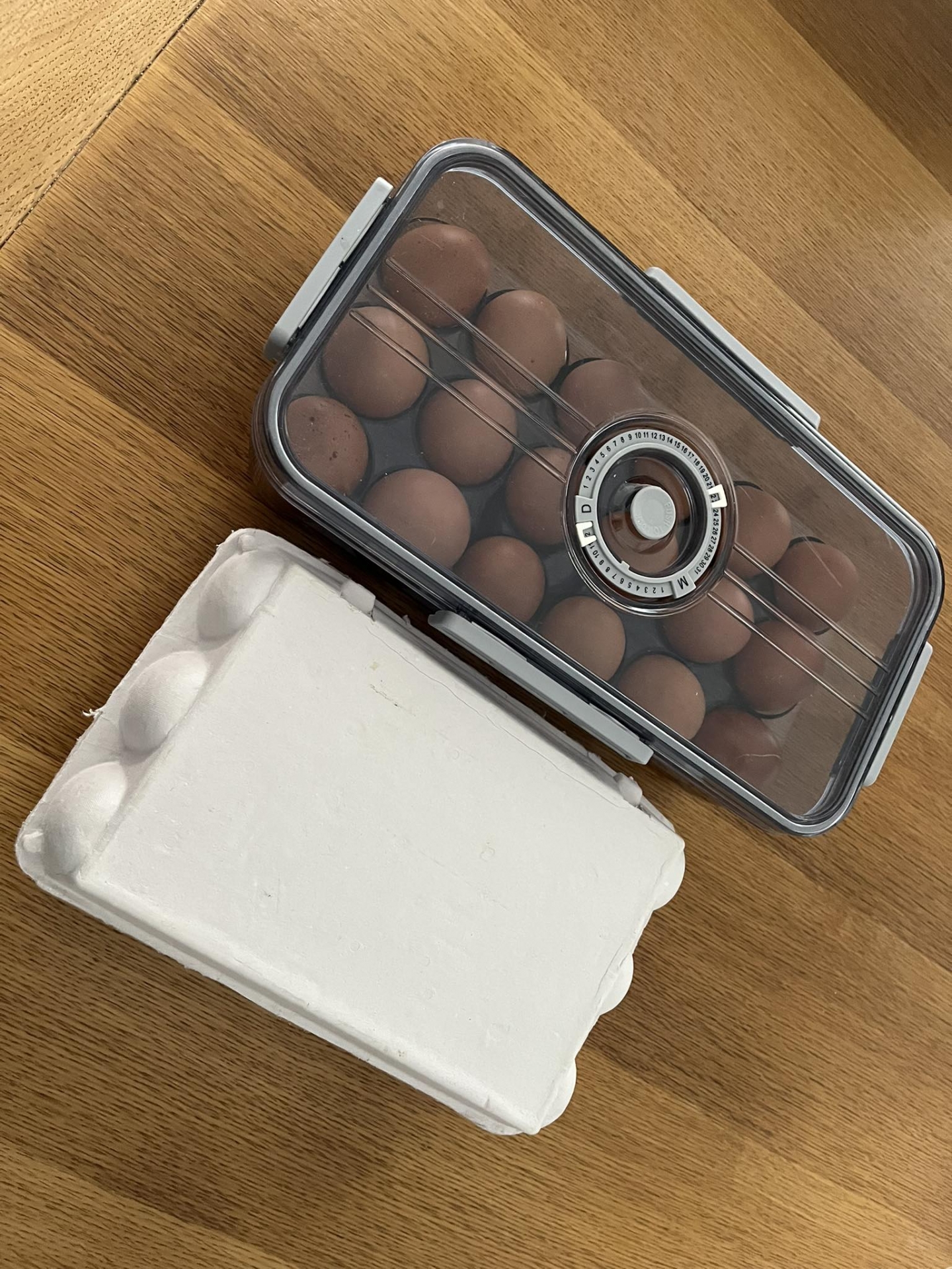 城市中的低碳綠生活-零廢棄生活習作