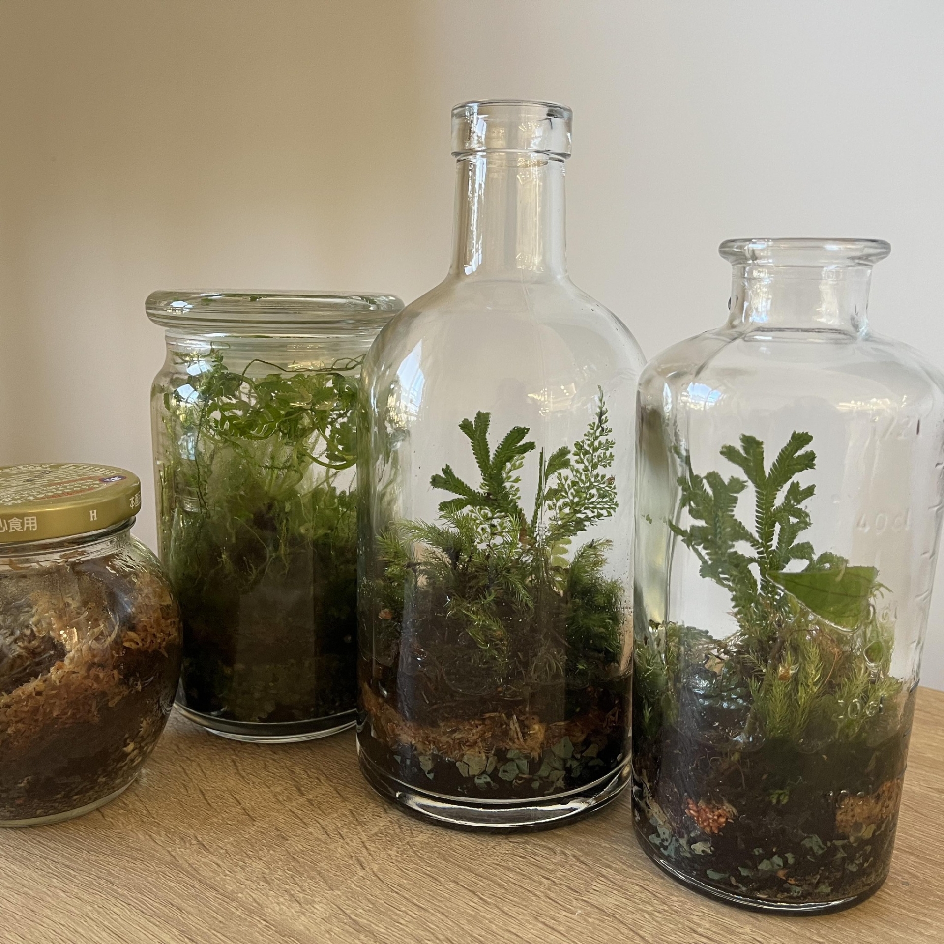 城市中的低碳綠生活-零廢棄生活習作