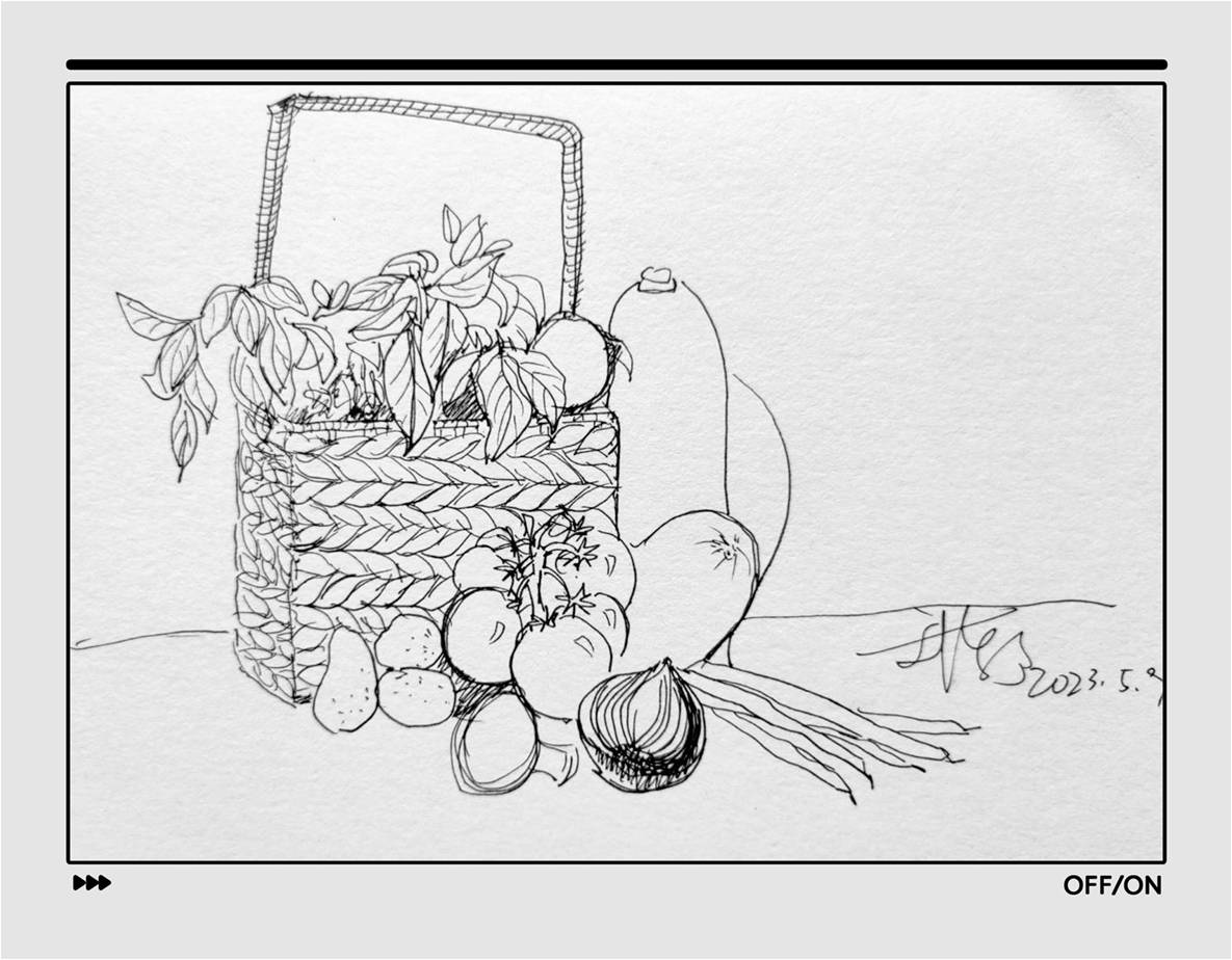 手繪黑白速寫(一)靜物篇