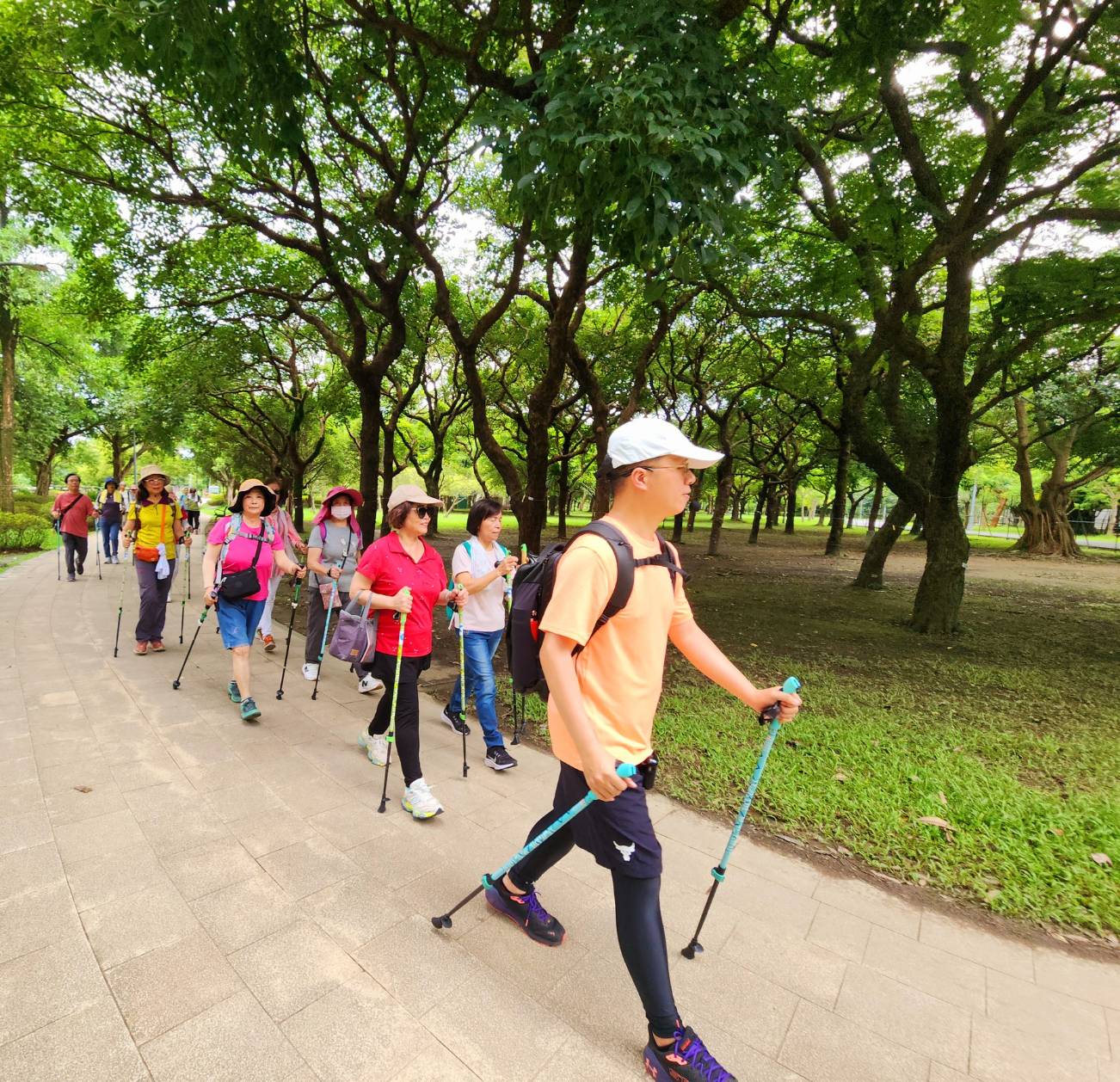 樂齡森活北歐式健走