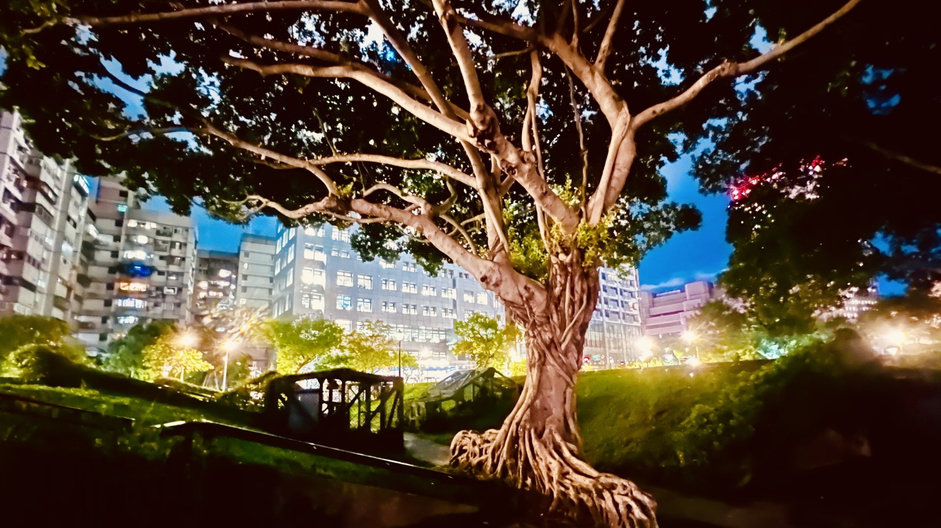 ㊣手機攝影輕鬆拍