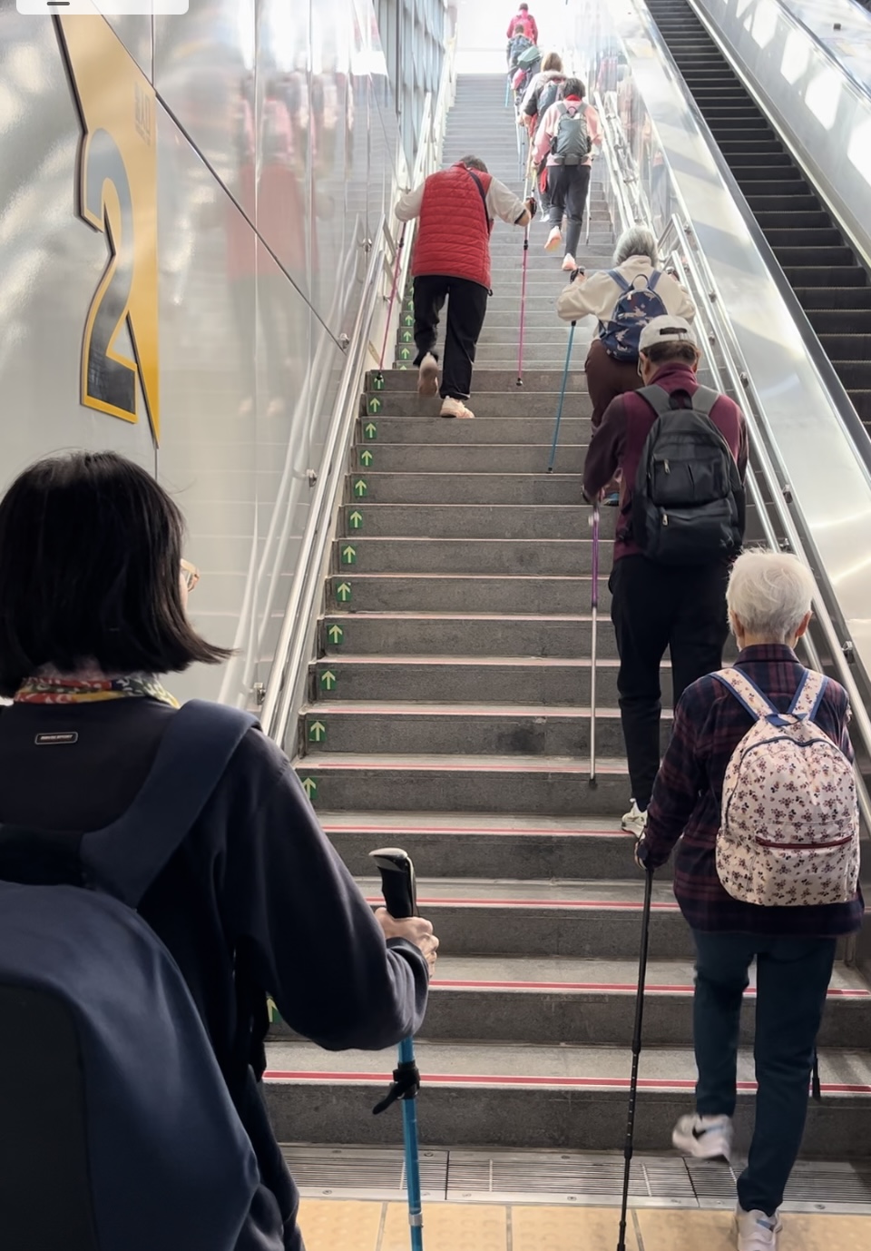 北歐式健走與肌力運動