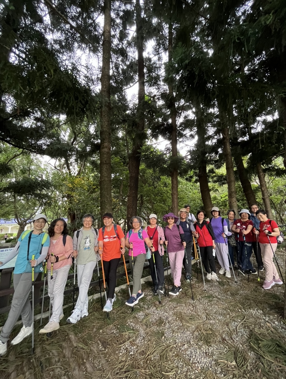 北歐式健走與肌力運動