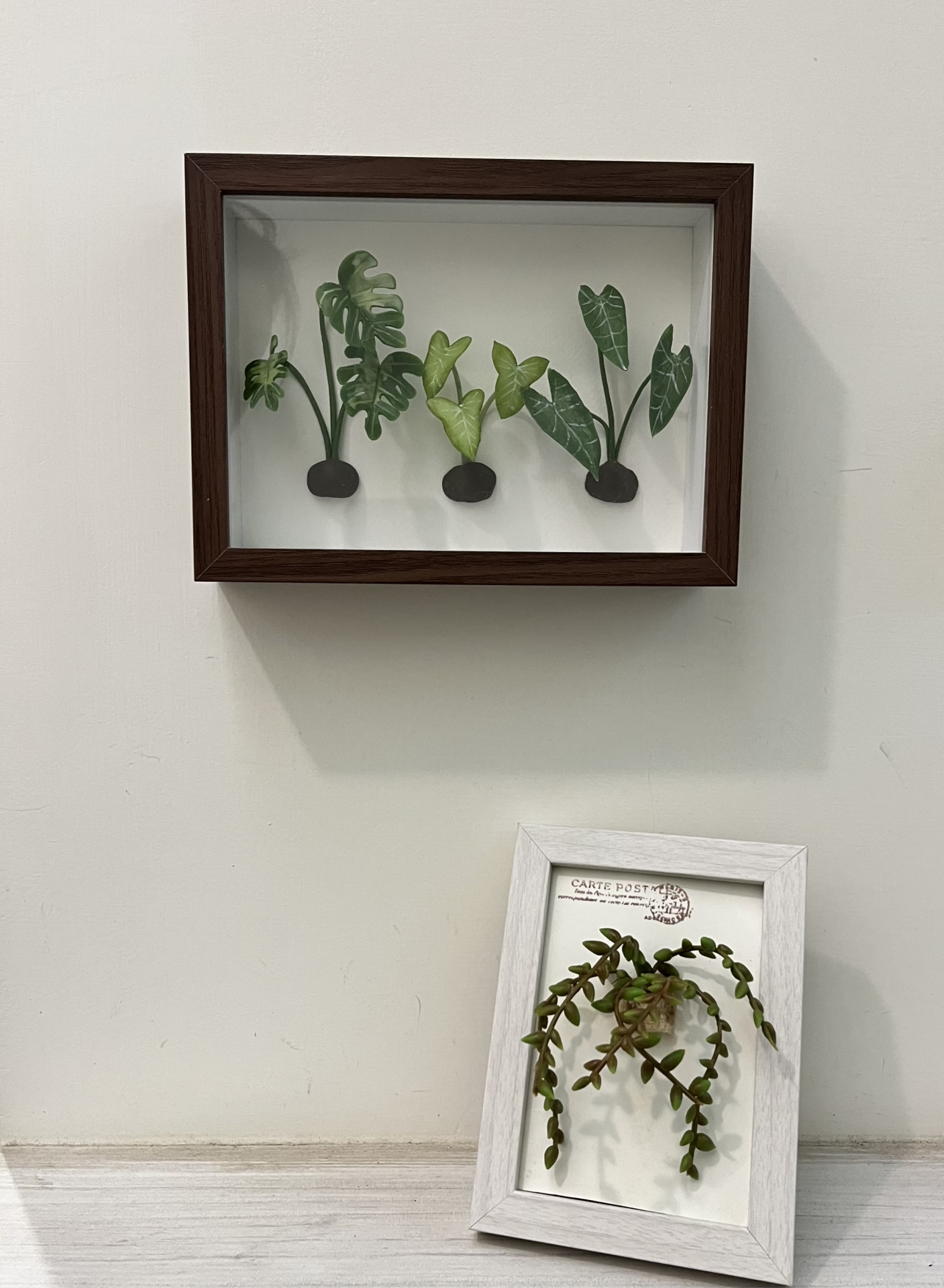 黏土捏塑-仿真多肉植物系列(六)