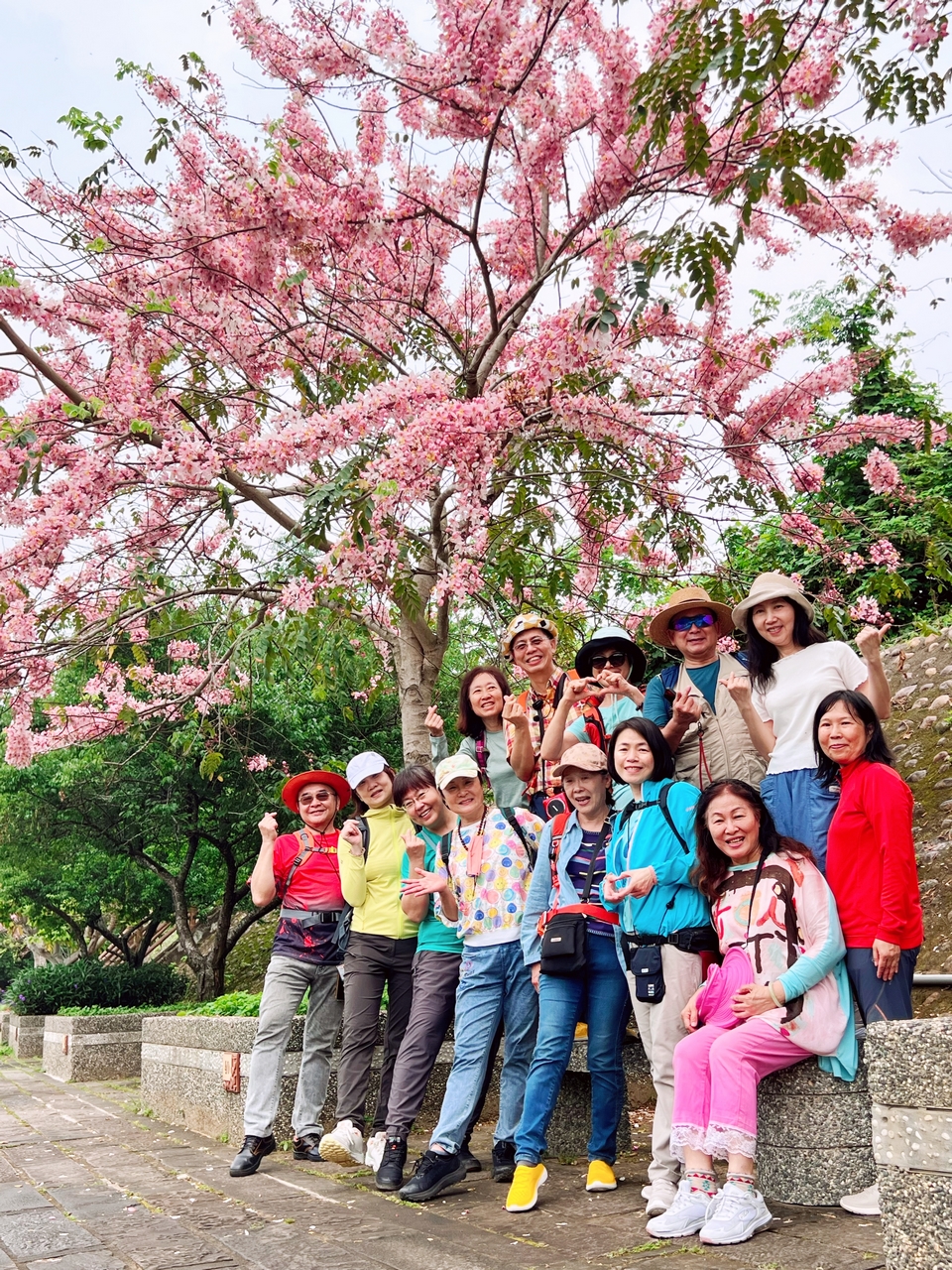 發現臺灣心角落-大安小森好時光(五)