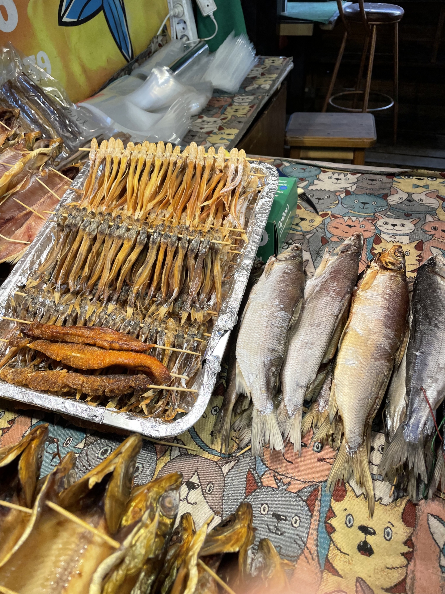 開口說英文