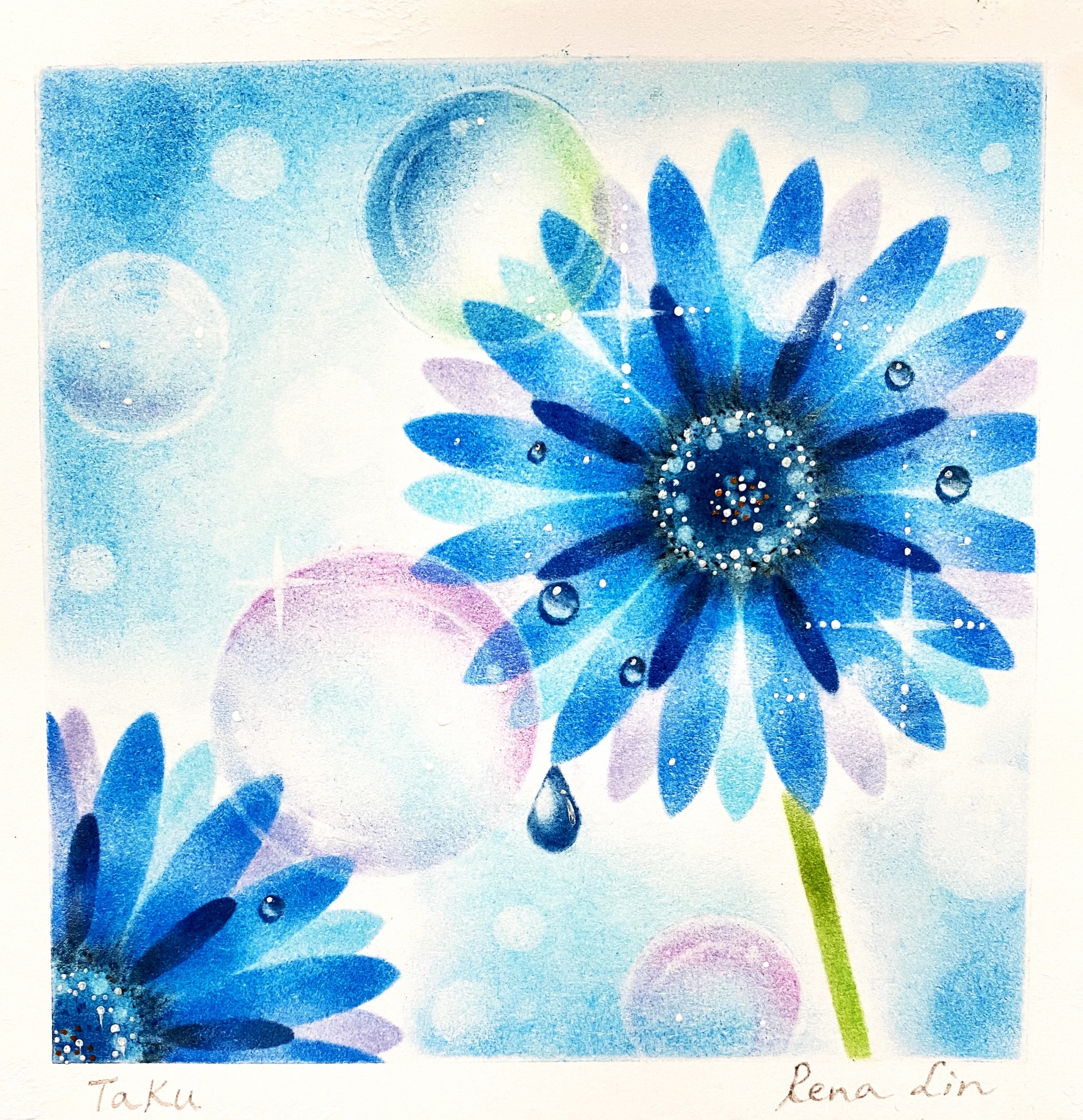 粉彩-禪繞舒心畫