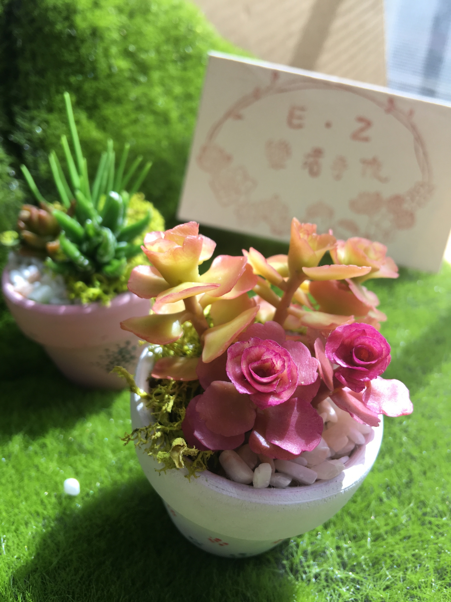 黏土捏塑-仿真多肉植物系列