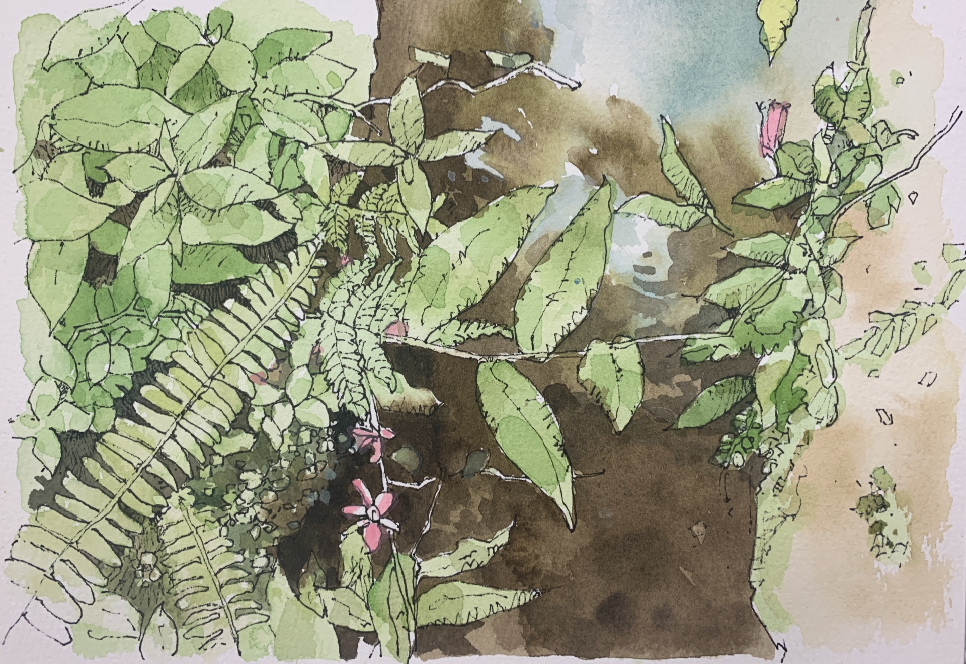 鋼筆淡彩-畫世界(下)