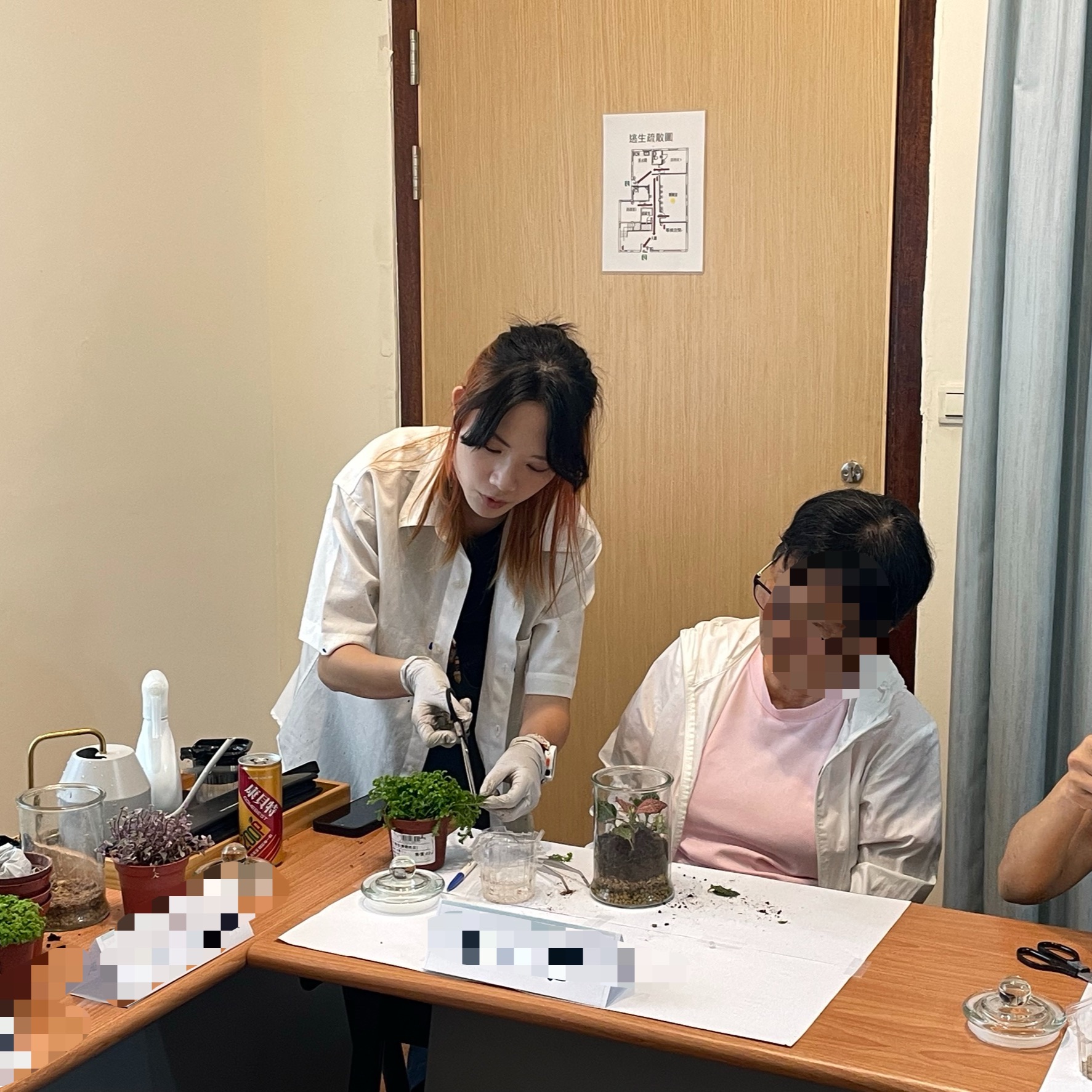 掌中綠意與造景美學-初階