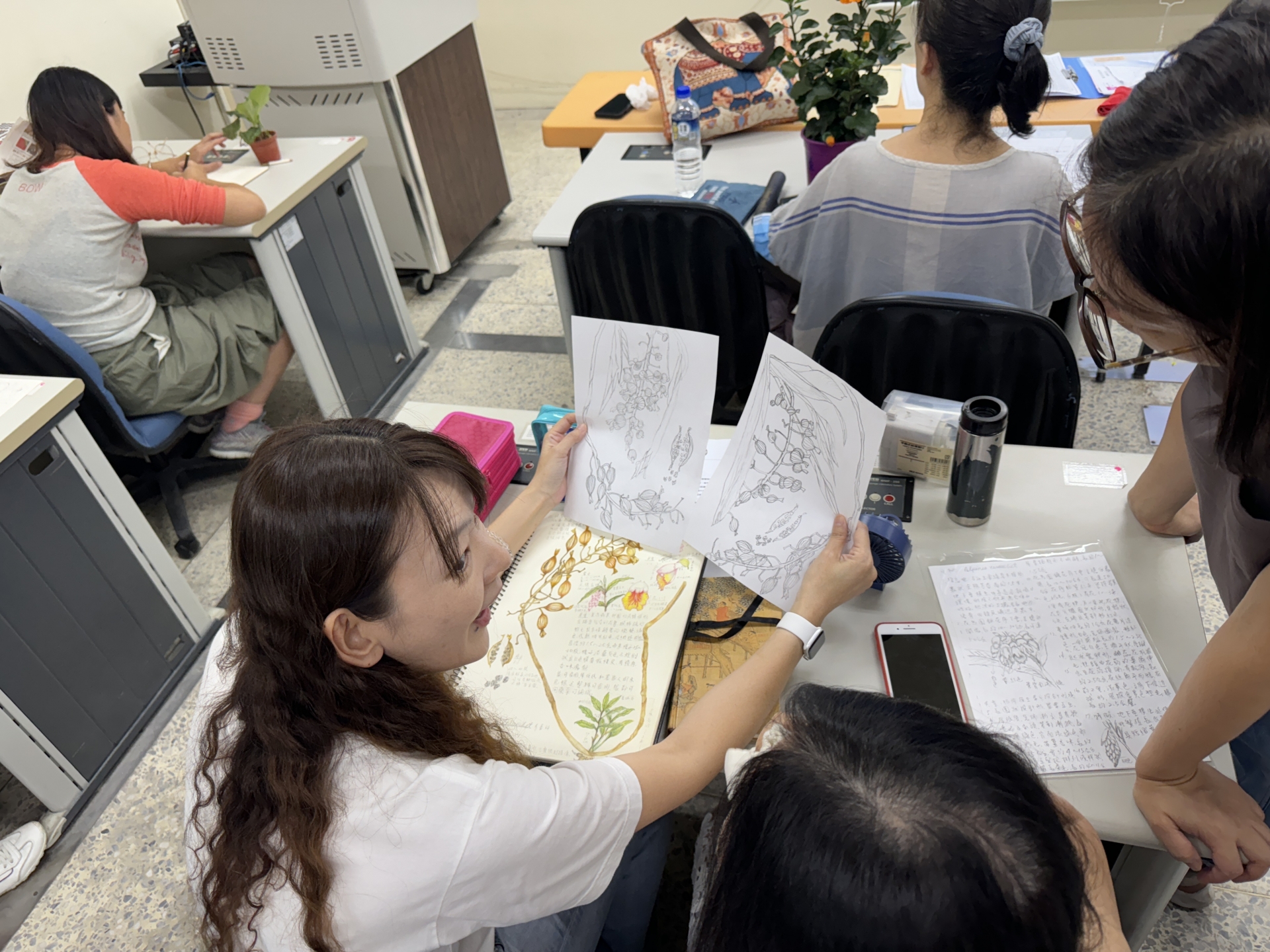 植物科學繪圖-色鉛筆