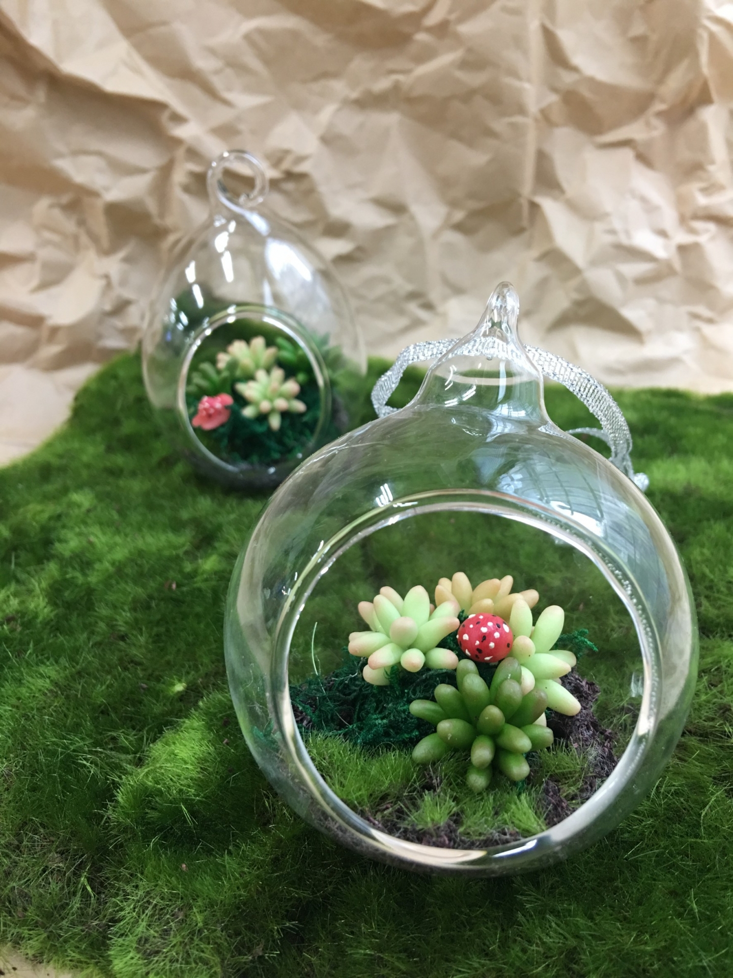 黏土捏塑-仿真多肉植物系列