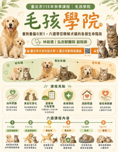 ◎養狗養貓0到1,六週帶您瞭解犬貓的各個生命階段