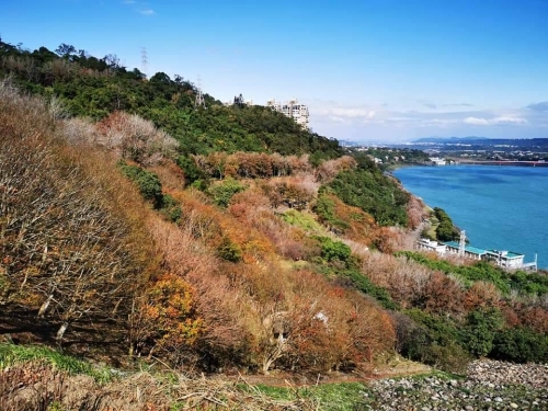 山岳博物學-安全樂活趴趴走(二)