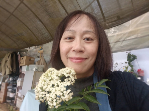 香草玩家樂趣多