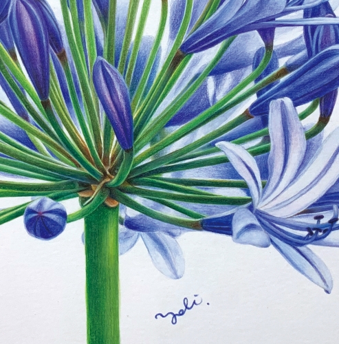 花繪創意Yoli水色鉛